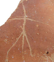 Afbeelding object 09hoo4 - 173 - HOO-BET05-142-C08