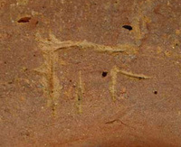 Afbeelding object 09hoo4 - 196 - HOO-BET08-359-C37