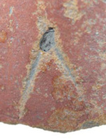 Afbeelding object 09hoo4 - 219 - HOO-BET03-057-C01