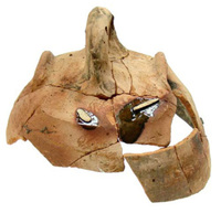 Afbeelding object 09hoo4 - 243 - HOO-BET05-103-C10