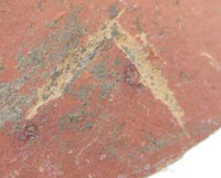 Afbeelding object 09hoo4 - 256 - HOO-BET05-049-C01