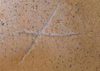 Afbeelding object 09hoo4 - 266 - HOO-BET05-089-C12