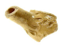 Afbeelding object 09hoo4 - 275 - HOO-BET05-112-C26