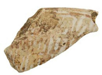 Afbeelding object 13enk4 - 116 - EBF-178-C01