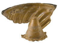 Afbeelding object 12zwo20 - 21 - Zwo12BDR10-3-74