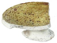 Afbeelding object 06zwo9 - 8-6 10 - wer02 8-6/16