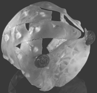 Afbeelding object 96dha2 - 168 - Dha96-15