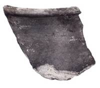 Afbeelding object 15bun1 - 24 - 490-1