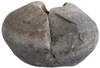 Afbeelding object 15bun1 - 49 - 58-3