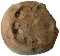 Afbeelding object 15bun1 - 57 - 1325-2