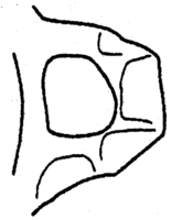 Afbeelding object 96dha2 - 79 - Dha96-9B..