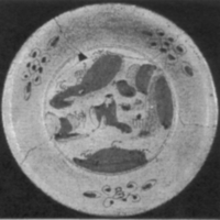 Afbeelding object 96dha2 - 97 - Dha96-9B, rek94-1005.36