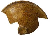 Afbeelding object 13maas2 - 271 - 2-2-56