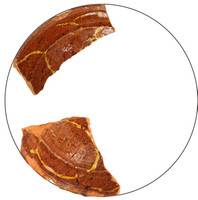 Afbeelding object 17utr21 - 44 - SCH 73-407