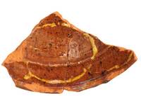 Afbeelding object 17utr21 - 114 - SCh 73-407