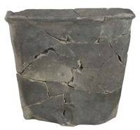 Afbeelding object 12zwo19 - 6 - Zwo11Pan09 6-250-51