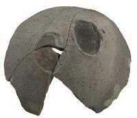 Afbeelding object 12zwo19 - 25 - Zwo11Pan09 7-295-114