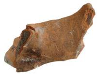 Afbeelding object 17slu3 - 14 - Cadzand vnr. 44-2