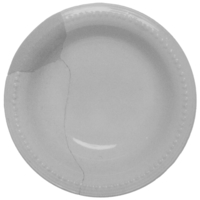 Afbeelding object 93has1 - 50 - Has-41-38