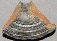 Afbeelding object 11dev5 - 45 - 284-V145-1038