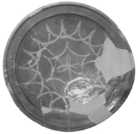 Afbeelding object 93has1 - 7. - Has-58-55