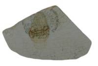 Afbeelding object 09zwo13  - 2 - Sme07-100-6