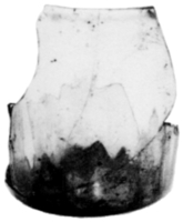 Afbeelding object 90kam1 - 200 - Kam90-Cock88-10 125