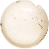 Afbeelding object 14dro1 - 44 - OL79-375 (AW_DEV-117)