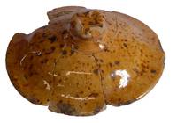 Afbeelding object 12enk3 - 10 - 321-129-CO1