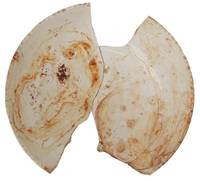 Afbeelding object 15woe4 - 38 - WOHW3-23-79