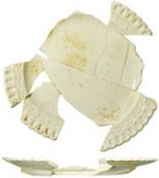 Afbeelding object 15oud2 - 5 - OUDR-13AW2 10