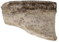 Afbeelding object 15sit1 - 19 - SITLI 611-1