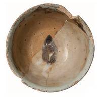 Afbeelding object 17ams17 - 185 - OZV9-13-17