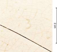 Afbeelding object 15nijm9 - 58 - Nld6.02884AWG1-1