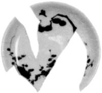 Afbeelding object 97maa2 = 97cruend - 24 - Maa97-Cru 53