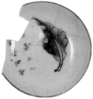 Afbeelding object 97maa2 = 97cruend - 25 - Maa97-Cru 55