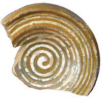 Afbeelding object 15hul2 - HV.8 - vnr 973