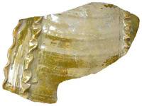 Afbeelding object 15hul2 - HV.55 - vnr 390