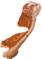 Afbeelding object 15nijm8 - 171 - Nld16.00323-AWG1.2