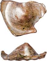 Afbeelding object 15nijm8 - Gl27 - Nld16.1935-GLS1-1