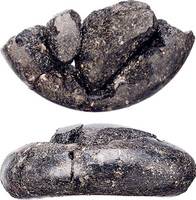 Afbeelding object 15nijm8 - Gl36 - Nld16.282-GLS1-1