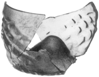 Afbeelding object 91nijm1 - 351 - Nym91-Ei 14