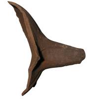 Afbeelding object 09aal1 - 8 - AALG-08- -88.3