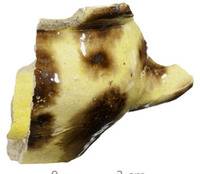 Afbeelding object 17lei2 - 28 - 88.27