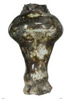 Afbeelding object 17lei2 - 39 - 304