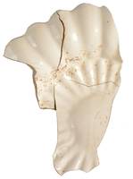 Afbeelding object 17zwo25 - 35 - 1-1-14; 10-