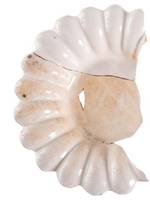 Afbeelding object 18gra1 - 51 - V841-2