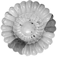 Afbeelding object 90kam1 - 148 - Pu86-37