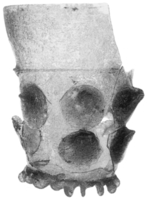 Afbeelding object 91nijm1 - 350 - Nym91-Ei 26