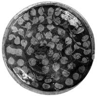 Afbeelding object 89dev1 - 58 - 11-192